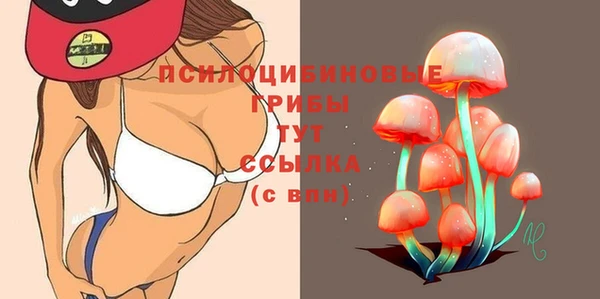 гидра Армянск