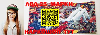 гидропоника Берёзовский