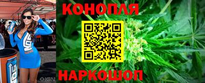 гидропоника Берёзовский