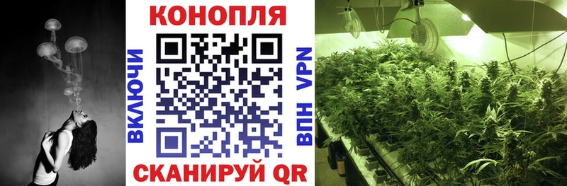 Каннабис план Глазов
