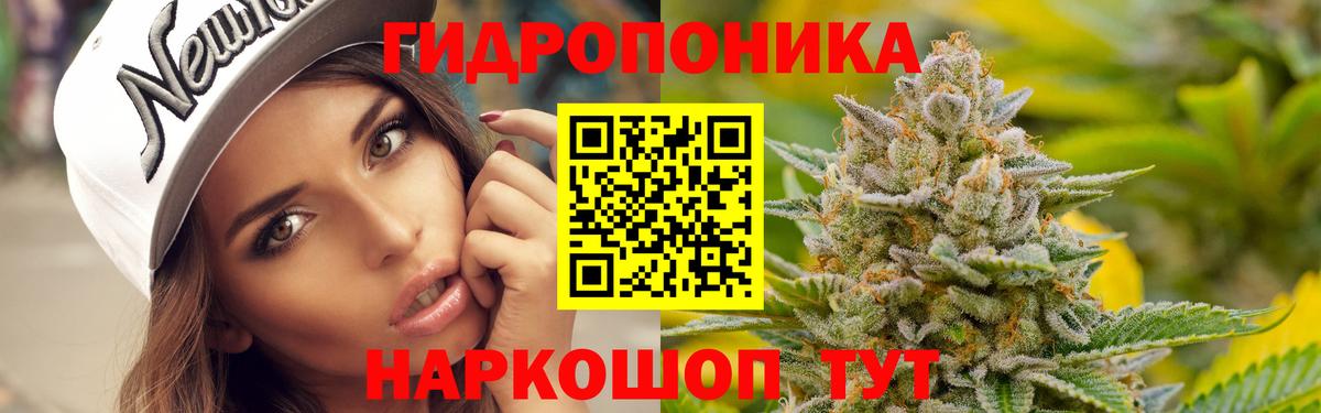 МАРИХУАНА семена Глазов